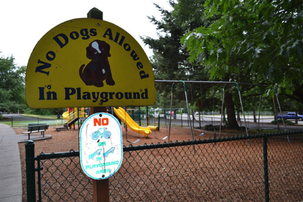 Dogs, skateboards and bikes are not allowed in the playground area